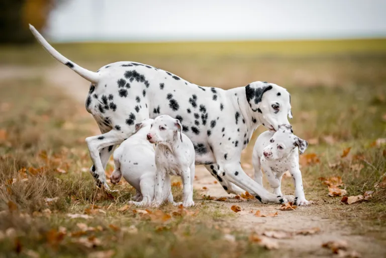 41. Lebenstag - B-Wurf (7)
