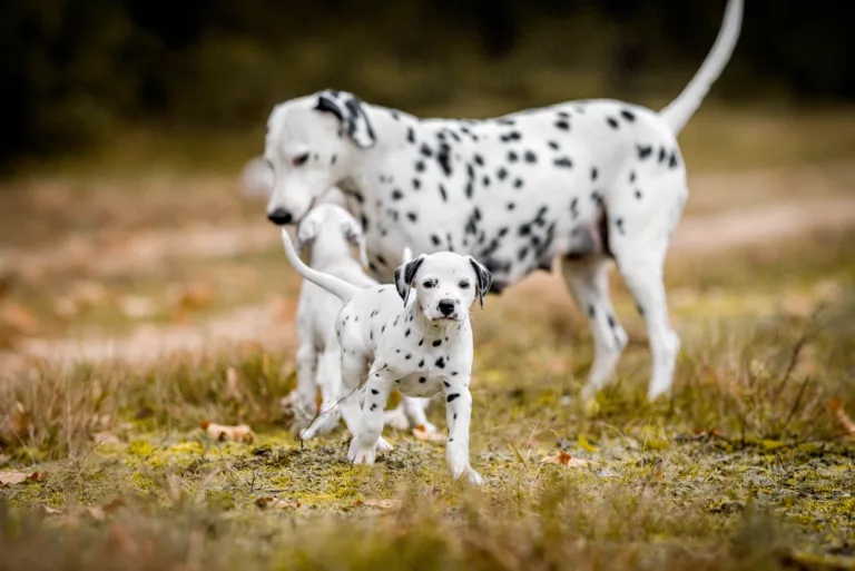 41. Lebenstag - B-Wurf (9)