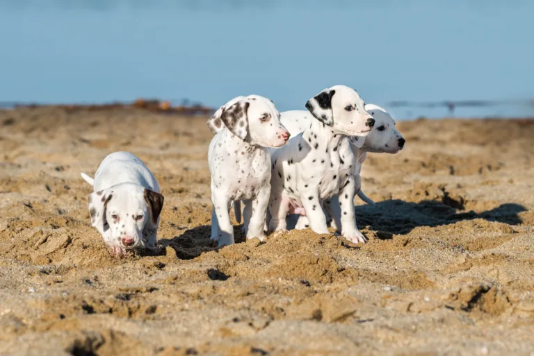 43. Lebenstag - B-Wurf (10)