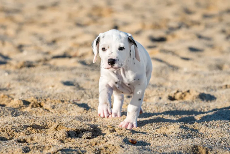 43. Lebenstag - B-Wurf (14)