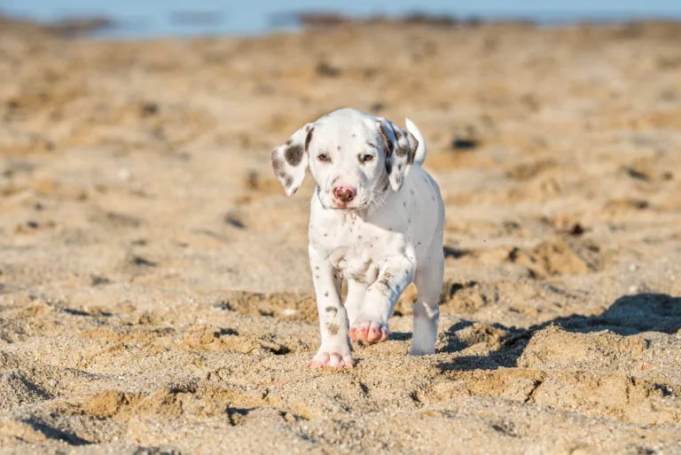 43. Lebenstag - B-Wurf (16)