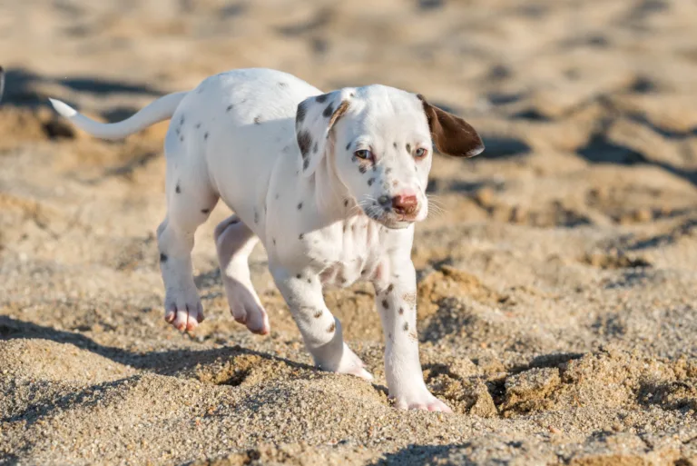 43. Lebenstag - B-Wurf (8)