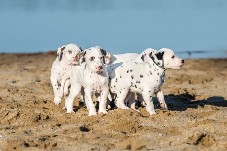 43. Lebenstag - B-Wurf (9)