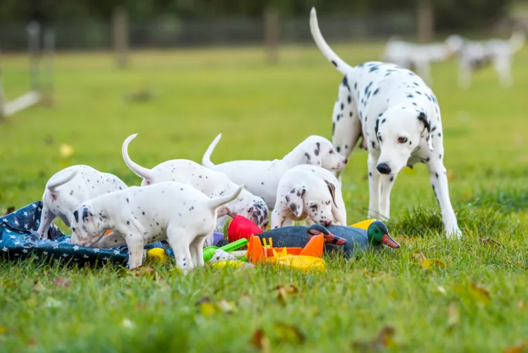 44. Lebenstag - B-Wurf (12)