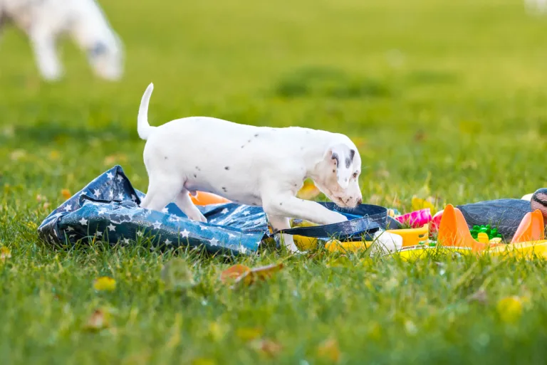44. Lebenstag - B-Wurf (19)