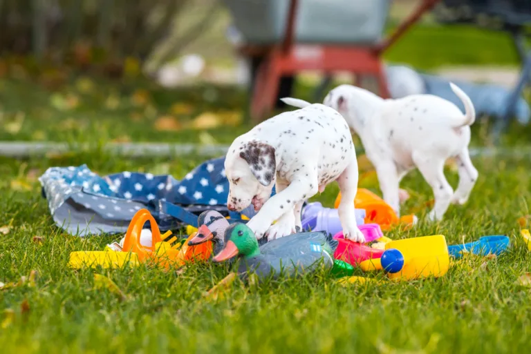 44. Lebenstag - B-Wurf (20)