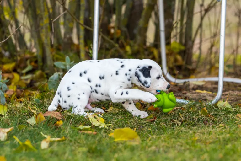 44. Lebenstag - B-Wurf (21)