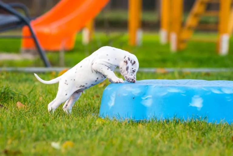 44. Lebenstag - B-Wurf (28)