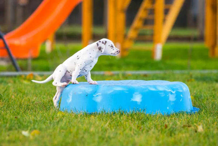 44. Lebenstag - B-Wurf (29)