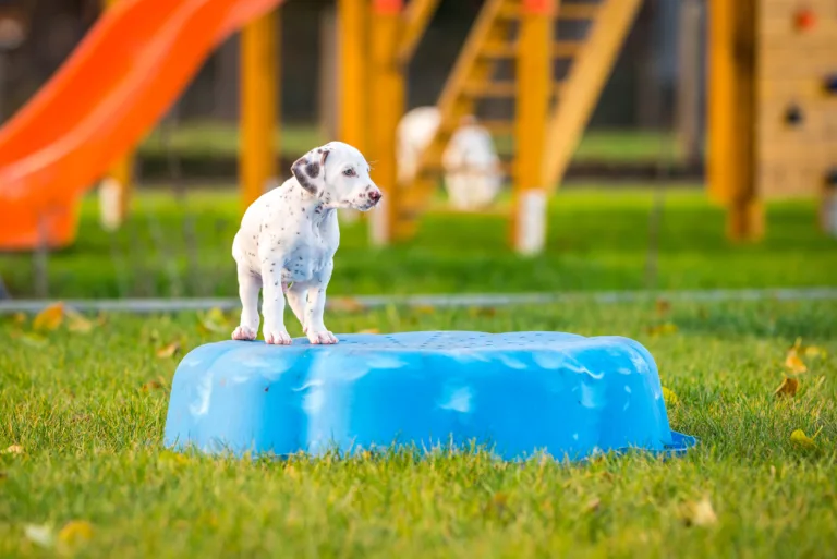 44. Lebenstag - B-Wurf (33)