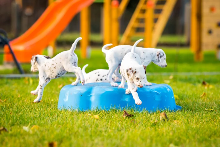 44. Lebenstag - B-Wurf (35)