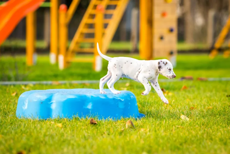 44. Lebenstag - B-Wurf (36)