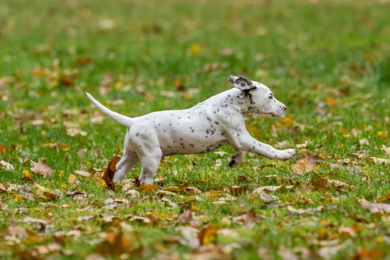 44. Lebenstag - B-Wurf (56)