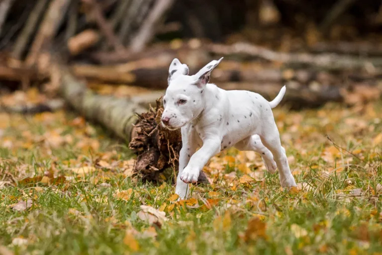 44. Lebenstag - B-Wurf (75)