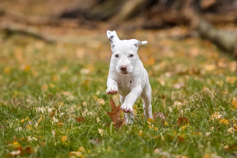 44. Lebenstag - B-Wurf (76)